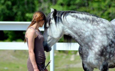 En dypere kontakt og forståelse av hesten og deg selv